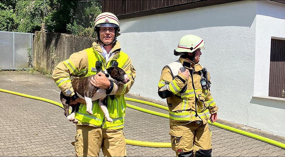 Bei dem Brand rettet die Feuerwehr einen Hund. Das Foto zeigt Frank Zimmermann mit dem Pit Bull. „Der war ganz lieb. Hat sich gefreut, dass jemand gekommen ist.“ Die Bewohnerin war zum Zeitpunkt des Brandes nicht zuhause.