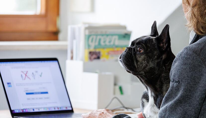 Gut fürs Betriebsklima: Wenn man seinen Hund mit zur Arbeit nehmen kann, profitieren viele Seiten. Gut fürs Betriebsklima: Wenn man seinen Hund mit zur Arbeit nehmen kann, profitieren viele Seiten.
