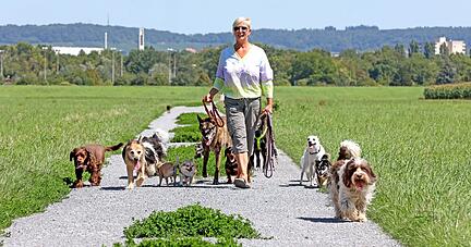 Alle Hände voll zu tun hat Sabine Bogner vom Tierischen Dienst Heilbronn: Teilweise versorgt sie bis zu 15 Pflegehunde gleichzeitig. Alle Hände voll zu tun hat Sabine Bogner vom Tierischen Dienst Heilbronn: Teilweise versorgt sie bis zu 15 Pflegehunde gleichzeitig.