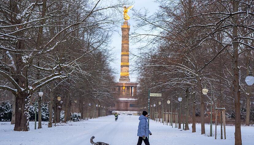 Eine Frau geht mit ihrem Hund vor der Kulisse der Siegessäule im verschneiten Tiergarten in Berlin spazieren. Eine Frau geht mit ihrem Hund vor der Kulisse der Siegessäule im verschneiten Tiergarten in Berlin spazieren.
