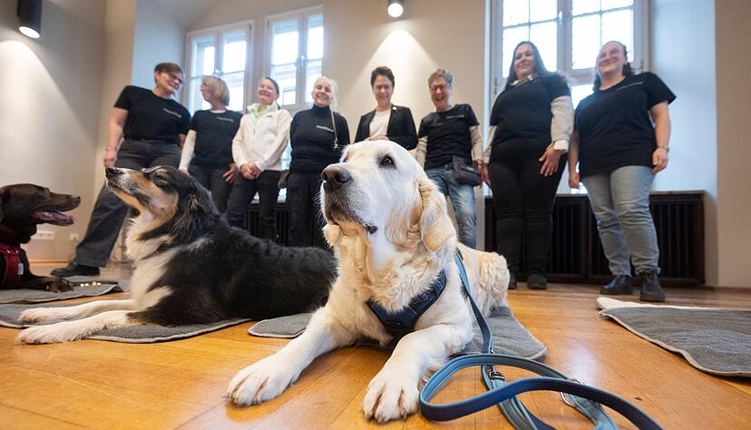 Auch Golden Retriever «Nele» hilft vor Gericht aus. Auch Golden Retriever «Nele» hilft vor Gericht aus.