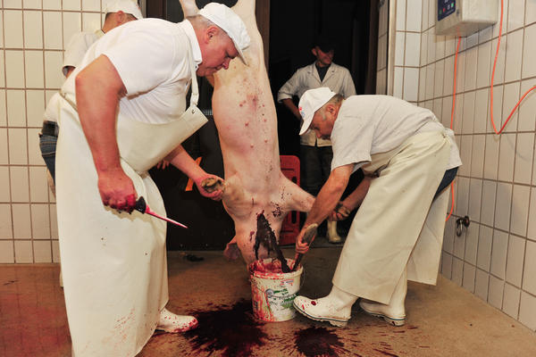 Hausschlachtung | 04.10. Hausschlachtung | 04.10.