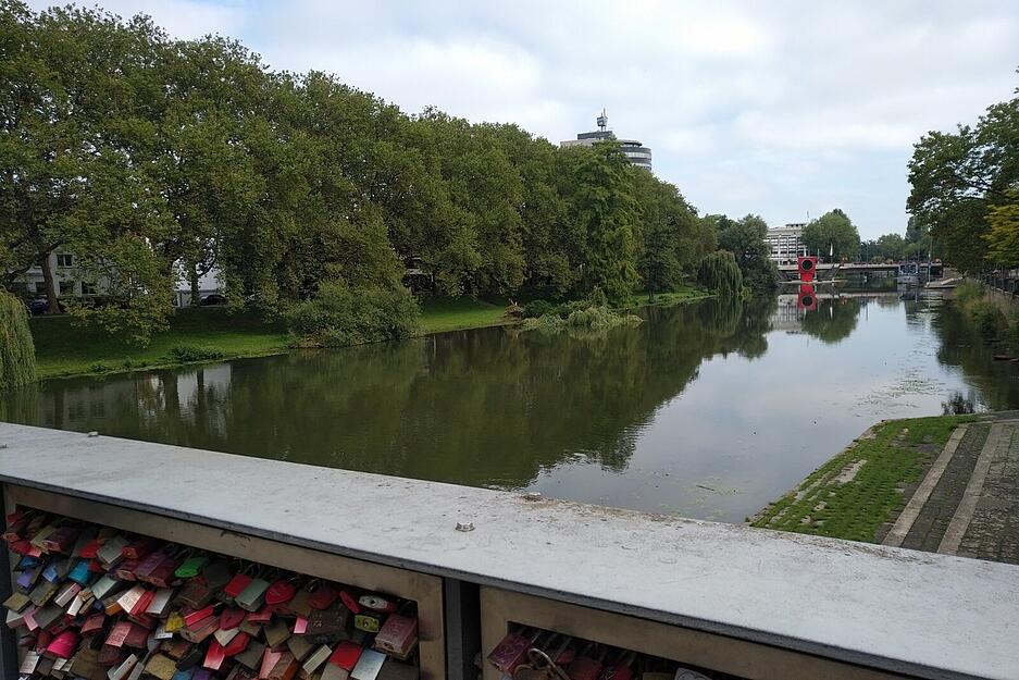 Baum kippt in den Neckar