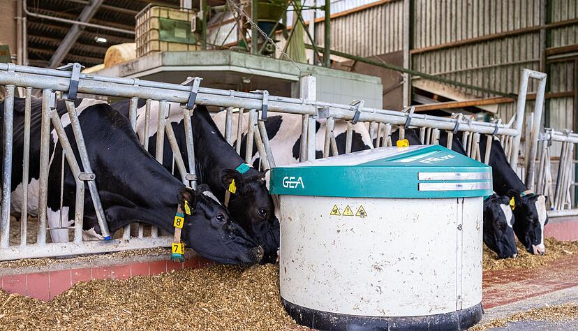Melkroboter von Gea auf einem Bauernhof in Ahaus. (Archivbild)