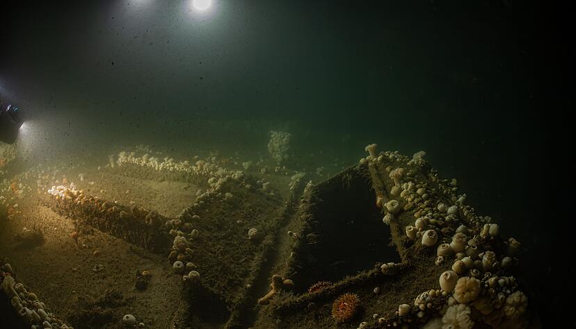 Das Team von «ProjectXplore» hat es sich zum Ziel gesetzt, historisch bedeutsame Schiffswracks zu finden. Das Team von «ProjectXplore» hat es sich zum Ziel gesetzt, historisch bedeutsame Schiffswracks zu finden.