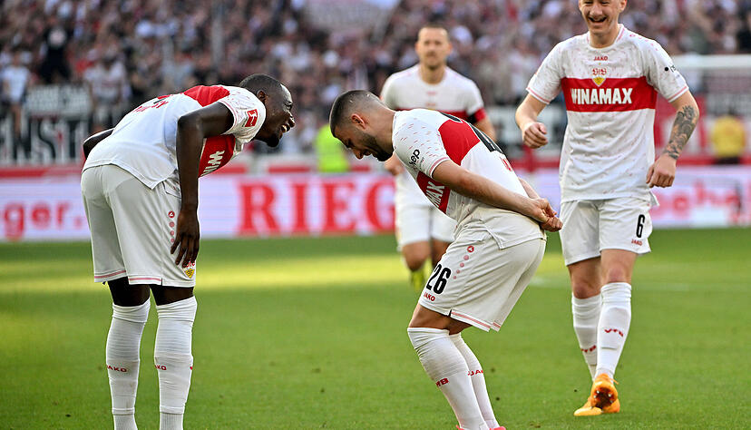 Viel Grund zum Jubeln hatte der VfB Stuttgart in der abgelaufenen Bundesligasaison. Am 20. Juli gastiert der deutsche Vizemeister im Heilbronner Frankenstadion gegen Fortuna Sittard. Foto: dpa Viel Grund zum Jubeln hatte der VfB Stuttgart in der abgelaufenen Bundesligasaison. Am 20. Juli gastiert der deutsche Vizemeister im Heilbronner Frankenstadion gegen Fortuna Sittard. Foto: dpa
