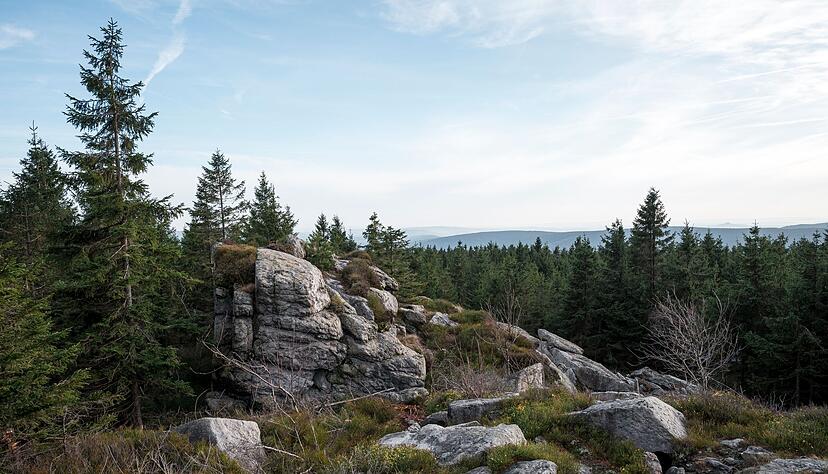 Schneemangel durchkreuzt im Fichtelgebirge derzeit das Pistenvergnügen. Dafür startet am 18. Januar der 5. deutsche Winterwandertag.