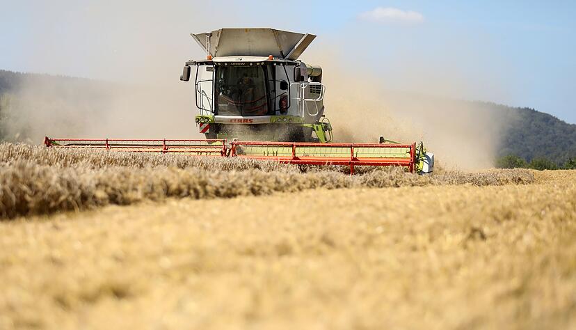 Es wird wieder gemäht: Die Getreideernte in Baden-Württemberg beginnt. (Archivbild) Es wird wieder gemäht: Die Getreideernte in Baden-Württemberg beginnt. (Archivbild)