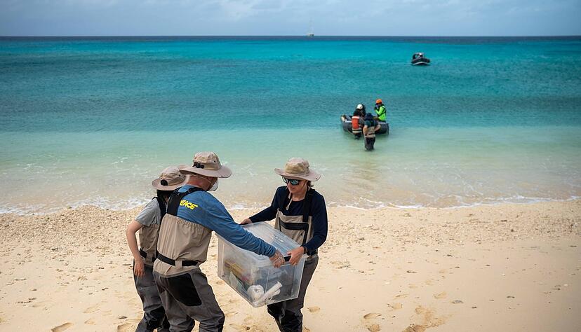 Greenpeace hatte die neue Studie in Auftrag gegeben. Greenpeace hatte die neue Studie in Auftrag gegeben.