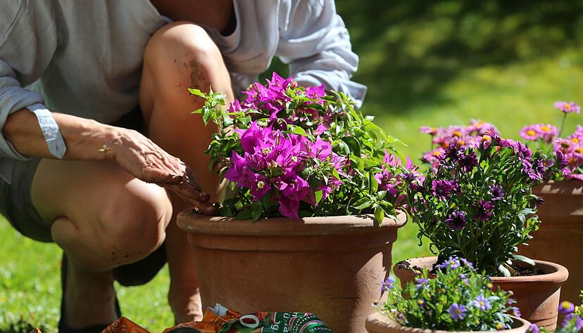Wie und womit wir g&auml;rtnern, kann f&uuml;r das Klima einen Unterschied machen.