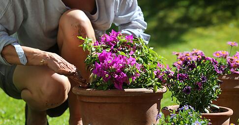 Wie und womit wir g&auml;rtnern, kann f&uuml;r das Klima einen Unterschied machen.