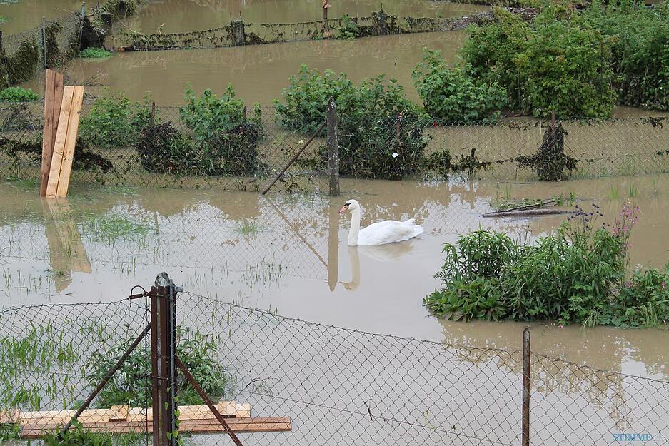Hochwasser in Forchtenberg Hochwasser in Forchtenberg