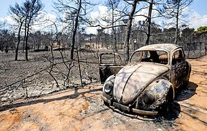 In Griechenland tobten verheerende Waldbrände.