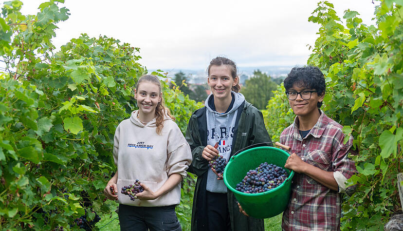 Vom Himalaya, vom Ruhrpott und aus Franken nach Württemberg: Pema Sherpa (von rechts) ist in einem nepalesischen Dorf aufgewachsen und macht wie Lina Ehlert und Lara Schönleber seit September in Heilbronn eine Winzerlehre.