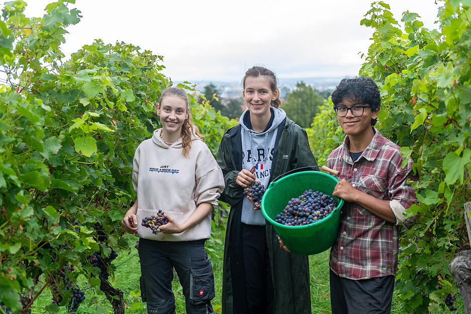 Vom Himalaya, vom Ruhrpott und aus Franken nach Württemberg: Pema Sherpa (von rechts) ist in einem nepalesischen Dorf aufgewachsen und macht wie Lina Ehlert und Lara Schönleber seit September in Heilbronn eine Winzerlehre.