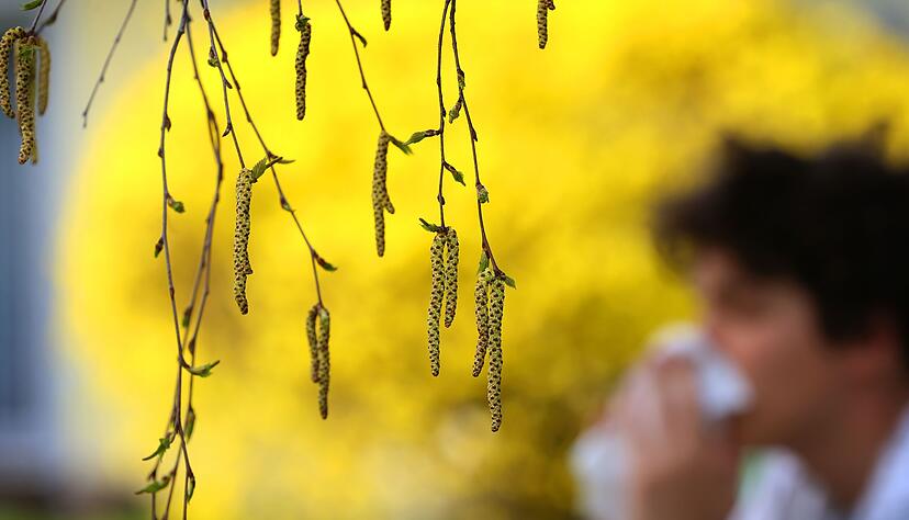 Die Pollensaison ist angelaufen. (Symbolfoto)
