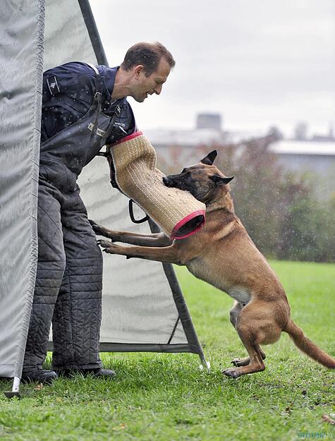 Polizeihundstaffel Offenau Polizeihundstaffel Offenau