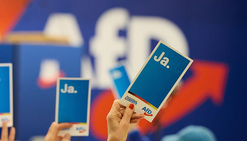 Die AfD will die Wähler auf der Metaebene ansprechen.