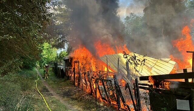 Zwei Hütten auf benachbarten Gartengrundstücken in Heilbronn standen in Flammen.