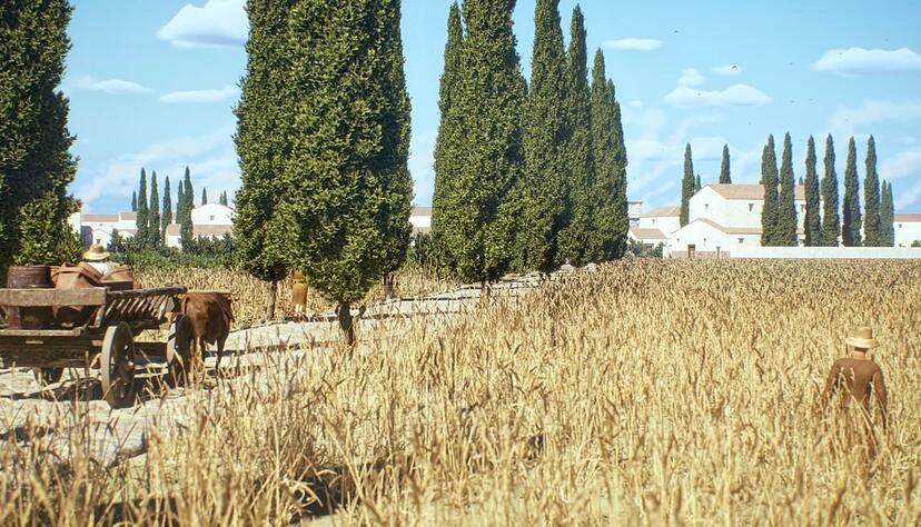 Vielbefahrene Straßen waren oft gepflastert, wie in der antiken Stadt Timgad in Algerien Vielbefahrene Straßen waren oft gepflastert, wie in der antiken Stadt Timgad in Algerien