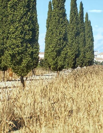Vielbefahrene Straßen waren oft gepflastert, wie in der antiken Stadt Timgad in Algerien Vielbefahrene Straßen waren oft gepflastert, wie in der antiken Stadt Timgad in Algerien