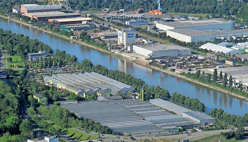 Neben dem Kölle-Neckargarten will Möbel Rieger bauen, die Gewächshäuser sollen dafür fallen. In der Nähe: die Böckinger Möbelmeile. Foto: Archiv/Kuhnle