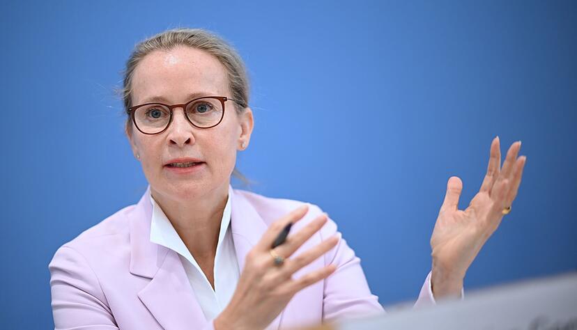 Das lief gar nicht gut f&uuml;r die schwarz-rote Koalition: Die Wahl der Juristin Frauke Brosius-Gersdorf ans Bundesverfassungsgericht scheiterte kurz vor der Sommerpause an der Union. (Archivbild)