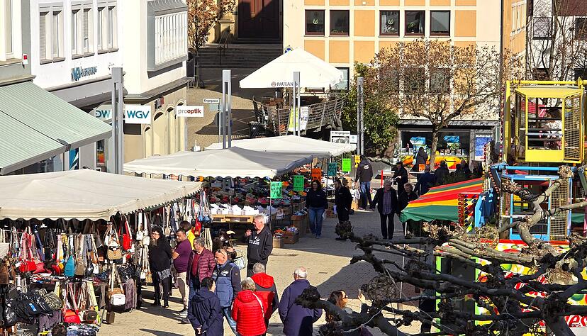 Am Freitag startete der Fischmarkt in der Neckarsulmer Innenstadt.