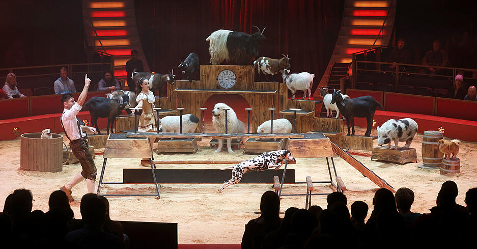 Dem 24. Heilbronner Weihnachtszirkus gelingt zur Premiere eine tolle zweieinhalbstündige Show. Dem 24. Heilbronner Weihnachtszirkus gelingt zur Premiere eine tolle zweieinhalbstündige Show.