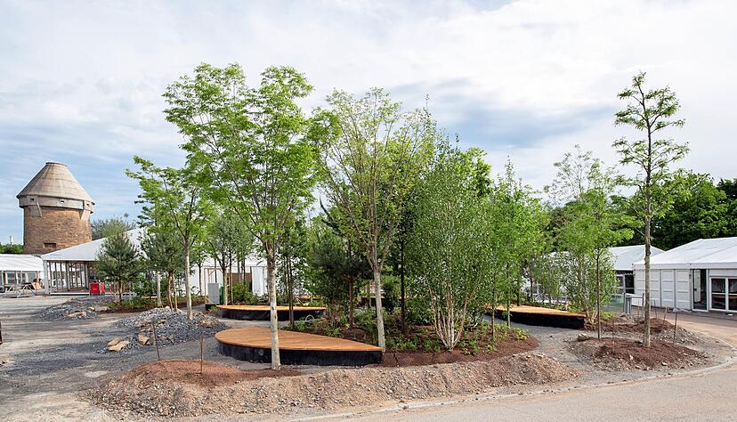 Während des Aufbaus der Ecsite-Zeltstadt auf der Theresienwiese wurde auch ein "Klimawäldchen" errichtet. Es bleibt dauerhaft bestehen.
Foto: Andreas Veigel