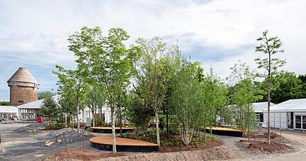 Während des Aufbaus der Ecsite-Zeltstadt auf der Theresienwiese wurde auch ein "Klimawäldchen" errichtet. Es bleibt dauerhaft bestehen.
Foto: Andreas Veigel Während des Aufbaus der Ecsite-Zeltstadt auf der Theresienwiese wurde auch ein "Klimawäldchen" errichtet. Es bleibt dauerhaft bestehen.
Foto: Andreas Veigel