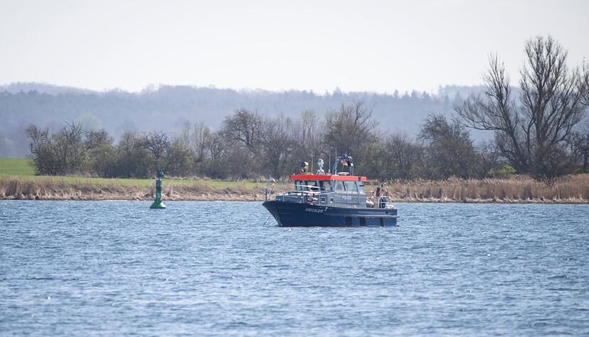 Es ist laut Experten nicht m&ouml;glich, den Wal zu t&ouml;ten.