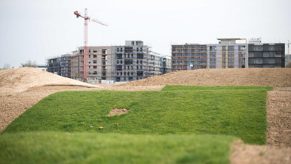 Ein Teststreifen aus Rollrasen liegt auf dem Gelände der Bundesgartenschau, die 2019 in Heilbronn stattfindet, auf Erdhügeln.