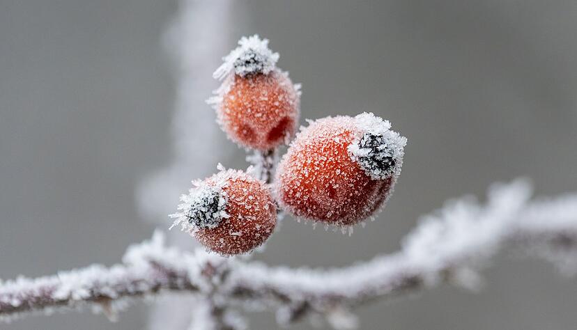 Gerade nachts wird es bitterkalt in Baden-Württemberg. Gerade nachts wird es bitterkalt in Baden-Württemberg.