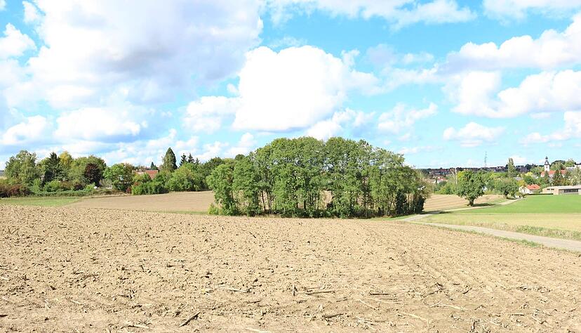 Hier im Süden Kupferzells soll das Wohngebiet entstehen: Nachdem einige Änderungen in den Bebauungsplan einflossen, wurde der Vorentwurf gebilligt. Foto: Archiv Hier im Süden Kupferzells soll das Wohngebiet entstehen: Nachdem einige Änderungen in den Bebauungsplan einflossen, wurde der Vorentwurf gebilligt. Foto: Archiv