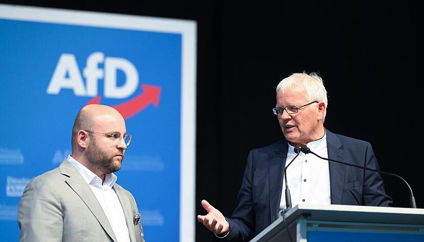 Markus Frohnmaier (l) und Emil Sänze, Landesvorsitzende der AfD Baden-Württemberg, stehen beim AfD-Landesparteitag gemeinsam auf dem Podium.