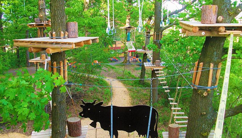 Hoch hinaus geht es im Waldkletterpark in Weinsberg. Zwölf verschiedene Parcours stehen zur Auswahl. Hoch hinaus geht es im Waldkletterpark in Weinsberg. Zwölf verschiedene Parcours stehen zur Auswahl.