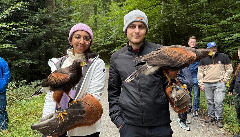Bei einem Greifvogel-Spaziergang im Wald landen die Greifvögel auf dem Arm der Studenten.