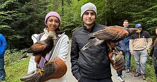 Bei einem Greifvogel-Spaziergang im Wald landen die Greifvögel auf dem Arm der Studenten.