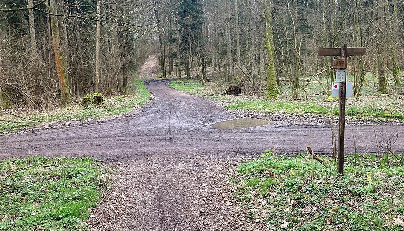 An dieser Stelle im Waldgebiet Stöckach, kurz vor Fürfeld, soll Khadidja O. niedergeschlagen worden sein. An dieser Stelle im Waldgebiet Stöckach, kurz vor Fürfeld, soll Khadidja O. niedergeschlagen worden sein.