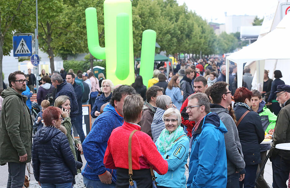 Bad Friedrichshall leuchtet 2019