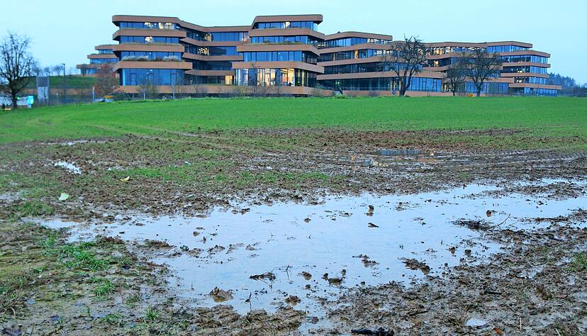 Kritik am Landkreis: Im Bad Wimpfener Landgraben weisen nur noch nasse Stellen am Rand der Ackerfl&auml;che auf die ehemaligen Containeranlage hin.