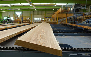 Das hochwertige Holz findet weltweit Abnehmer.