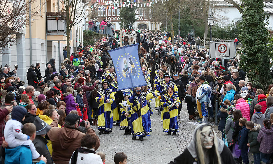 Faschingsumzug in Brackenheim