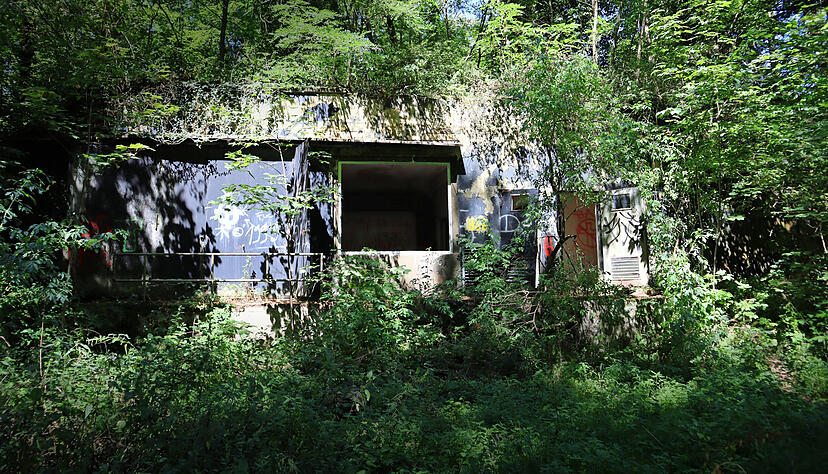 Beim Bau wurden die 28 Bunker bepflanzt. Heute stehen junge Bäume auf den Bauten, die Natur holt sich die Umgebung zurück.