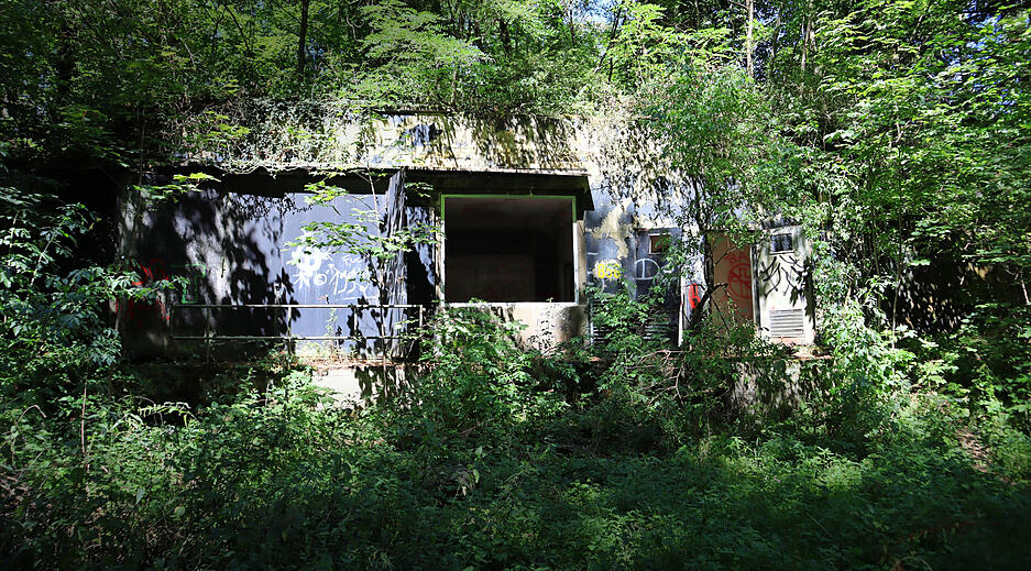 Beim Bau wurden die 28 Bunker bepflanzt. Heute stehen junge Bäume auf den Bauten, die Natur holt sich die Umgebung zurück.