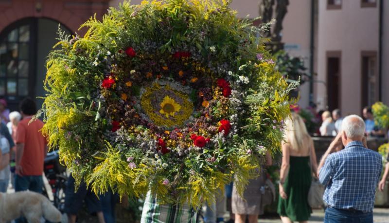 Mann trägt in Gengenbach einen riesigen Strauß aus Kräutern in der Innenstadt. Foto: Patrick Seeger