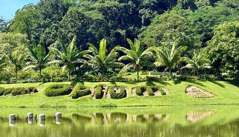 Einst war der Name Goldenes Dreieck ein Synonym für Opiumhandel. Einst war der Name Goldenes Dreieck ein Synonym für Opiumhandel.