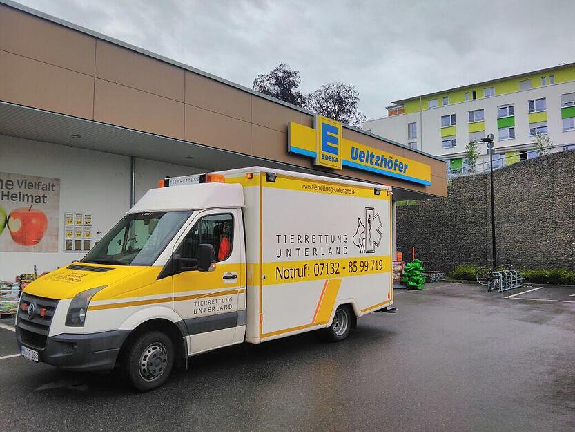 Mitarbeiter hatten nach dem Fund die Tierrettung Unterland verständigt. Mitarbeiter hatten nach dem Fund die Tierrettung Unterland verständigt.