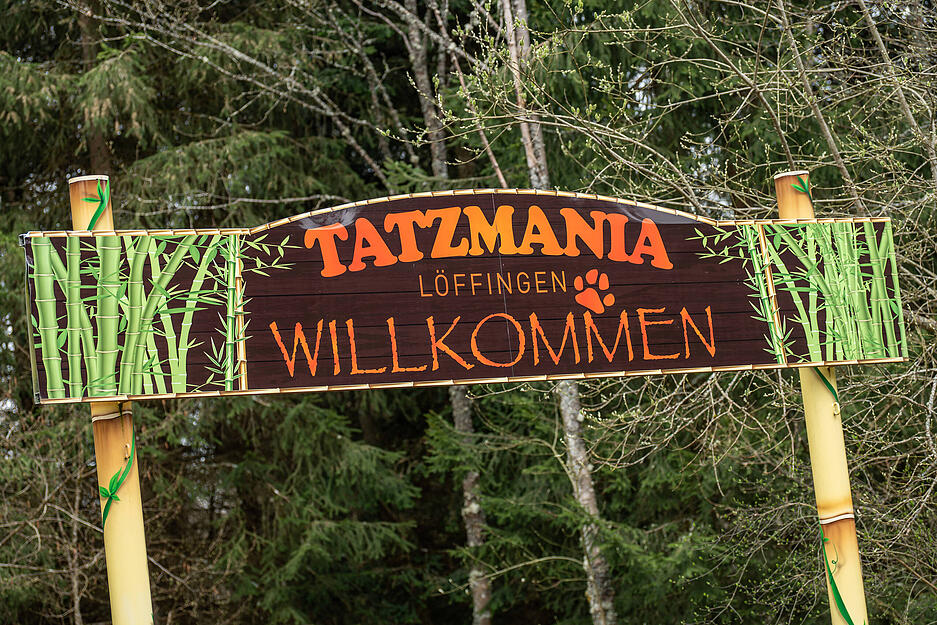 Tiger anschauen und Achterbahnfahren: Das Tatzmania in Löffingen (Breisgau-Hochschwarzwald) ist eine Kombination aus Zoo und Freizeitpark. 

Zu den Highlights zählt die Raubtierfütterung.